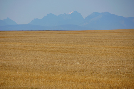 086.Waterton