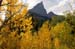 096.Waterton